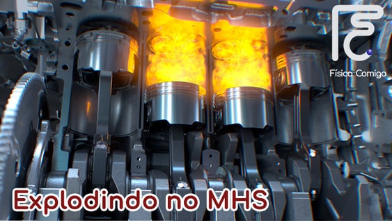 Netfis