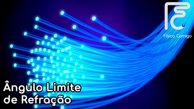 Netfis